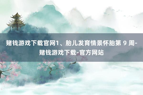 赌钱游戏下载官网1、胎儿发育情景怀胎第 9 周-赌钱游戏下载-官方网站