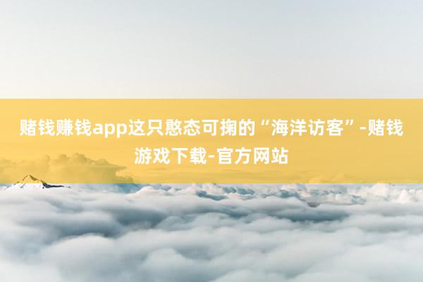 赌钱赚钱app这只憨态可掬的“海洋访客”-赌钱游戏下载-官方网站